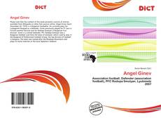 Angel Ginev kitap kapağı