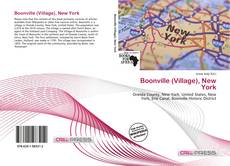 Boonville (Village), New York kitap kapağı