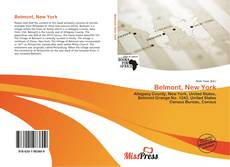 Bookcover of Belmont, New York