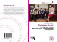 Bookcover of Multiethnic Society