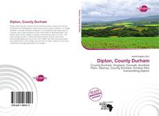 Dipton, County Durham的封面