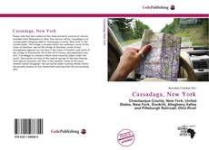 Portada del libro de Cassadaga, New York