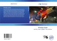 Capa do livro de Priestly Caste 