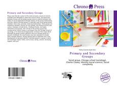 Buchcover von Primary and Secondary Groups