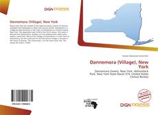Capa do livro de Dannemora (Village), New York 