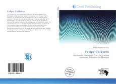 Felipe Calderón kitap kapağı