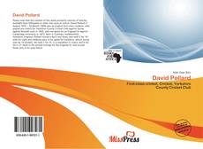 Bookcover of David Pollard
