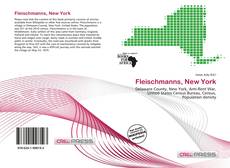 Fleischmanns, New York kitap kapağı