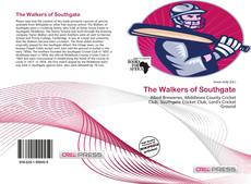 The Walkers of Southgate kitap kapağı
