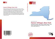 Capa do livro de Homer (Village), New York 