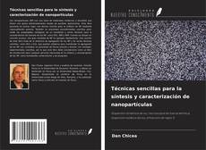 Capa do livro de Técnicas sencillas para la síntesis y caracterización de nanopartículas 