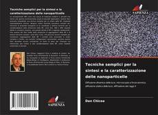Portada del libro de Tecniche semplici per la sintesi e la caratterizzazione delle nanoparticelle