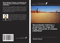 Capa do livro de Necesidades hídricas y programa de riego del trigo utilizando el modelo CROPWAT 