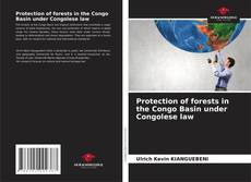 Protection of forests in the Congo Basin under Congolese law的封面