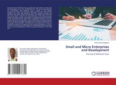 Copertina di Small and Micro Enterprises and Development