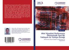 Afet Yönetimi Performans Ölçümünde Yeni Bir Yaklaşım ve Türkiye Örneği kitap kapağı