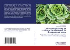 Copertina di Genetic engineering of cabbage for resistance to diamondback moth