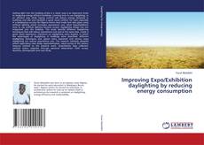 Improving Expo/Exhibition daylighting by reducing energy consumption的封面