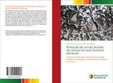 Portada del libro de Produção de carvão ativado de caroços de açaí (Euterpe oleracea)