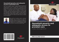 Household poverty and adequate access to prenatal care的封面