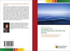 Copertina di Dragagem de Aprofundamento do Porto de Santos