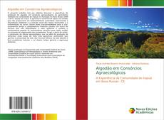 Algodão em Consórcios Agroecológicos kitap kapağı