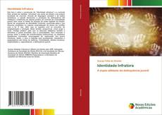Bookcover of Identidade Infratora