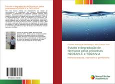 Copertina di Estudo e degradação de fármacos pelos processos H2O2/UV-C e TiO2/UV-A