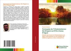 Capa do livro de Formação de Trihalometanos: Da Origem na ETA à Caixa D’água 