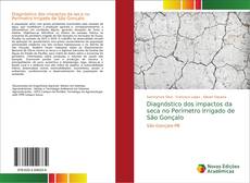 Capa do livro de Diagnóstico dos impactos da seca no Perímetro Irrigado de São Gonçalo 