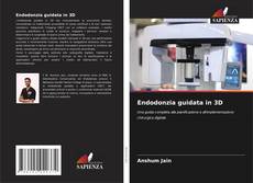 Couverture de Endodonzia guidata in 3D