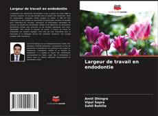 Bookcover of Largeur de travail en endodontie