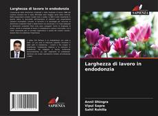 Couverture de Larghezza di lavoro in endodonzia