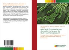 A IgY anti-Photobacterium damselae na terapia de Rachycentron canadum kitap kapağı