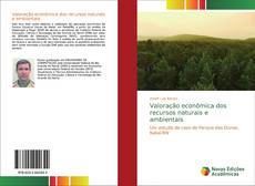 Borítókép a  Valoração econômica dos recursos naturais e ambientais - hoz
