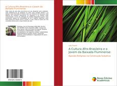 Bookcover of A Cultura Afro-Brasileira e o Jovem da Baixada Fluminense: