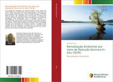Remediação Ambiental por meio de Redução Química In-Situ (ISCR) kitap kapağı