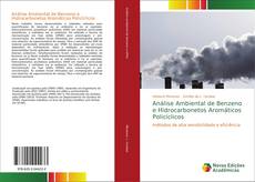 Copertina di Análise Ambiental de Benzeno e Hidrocarbonetos Aromáticos Policíclicos