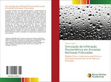 Bookcover of Simulação de Infiltração Pluviométrica em Encostas Rochosas Fraturadas