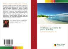 Capa do livro de Dinâmica deposicional de praias arenosas 