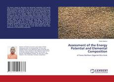 Copertina di Assessment of the Energy Potential and Elemental Composition