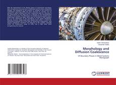 Buchcover von Morphology and Diffusion Coalescence