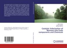 Capa do livro de Catalytic Valorization of Biomass into Fuels components and Chemicals 