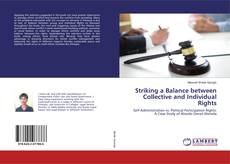 Buchcover von Striking a Balance between Collective and Individual Rights