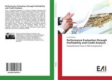 Capa do livro de Performance Evaluation through Profitability and Credit Analysis 