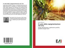 Bookcover of Il ruolo della copigmentazione nel vino