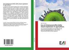 Buchcover von Uso di biomasse/reflui della steam-explosion in agricoltura