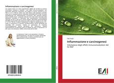 Capa do livro de Infiammazione e carcinogenesi 