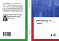 Bookcover of Debt Sustainability: The Harmonization of the Account Principles