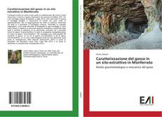 Bookcover of Caratterizzazione del gesso in un sito estrattivo in Monferrato